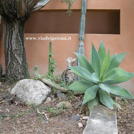 Via Dei Gerani * Sinnai