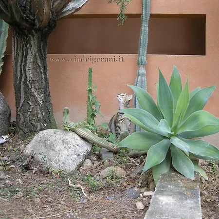 Via Dei Gerani فندق مبيت وإفطار *