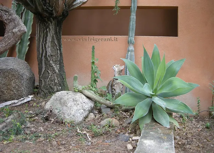 Via Dei Gerani Panzió *